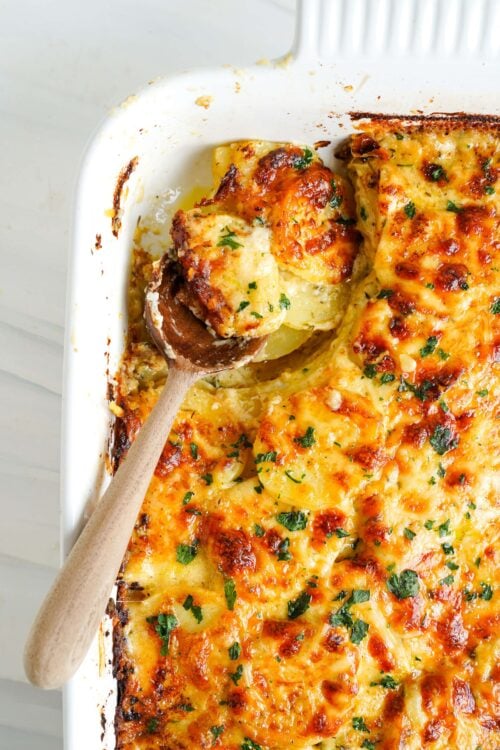 The Best Au Gratin Potatoes (Cheesy Scalloped Potatoes Recipe) The Best Au Gratin Potatoes (Cheesy Scalloped Potatoes Recipe)