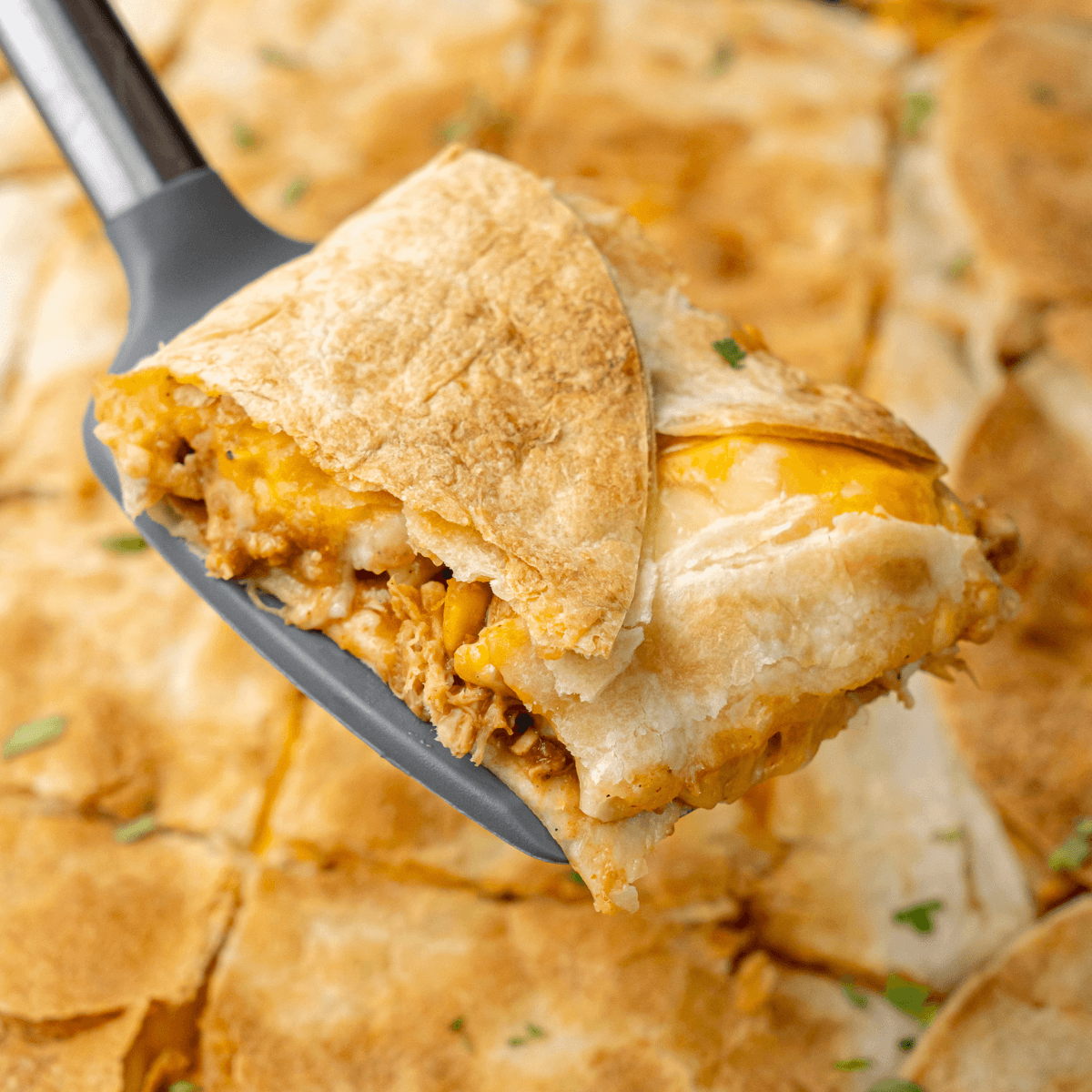 Close-up of crispy sheet pan chicken quesadilla slice with melted cheese, refried beans, and shredded chicken on a serving turner