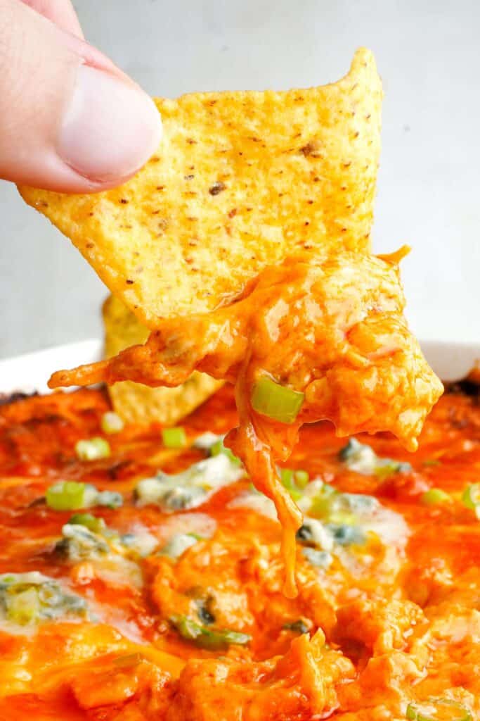 Tortilla chip dipped into creamy buffalo chicken dip with melted cheese and green onions