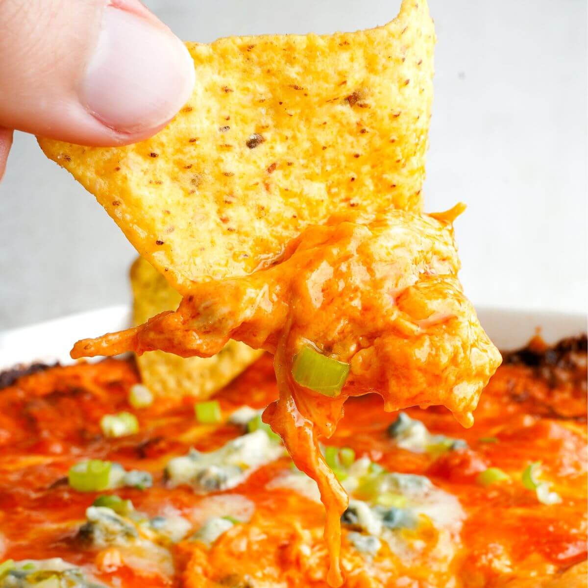 Tortilla chip dipped into creamy buffalo chicken dip with melted cheese and green onions
