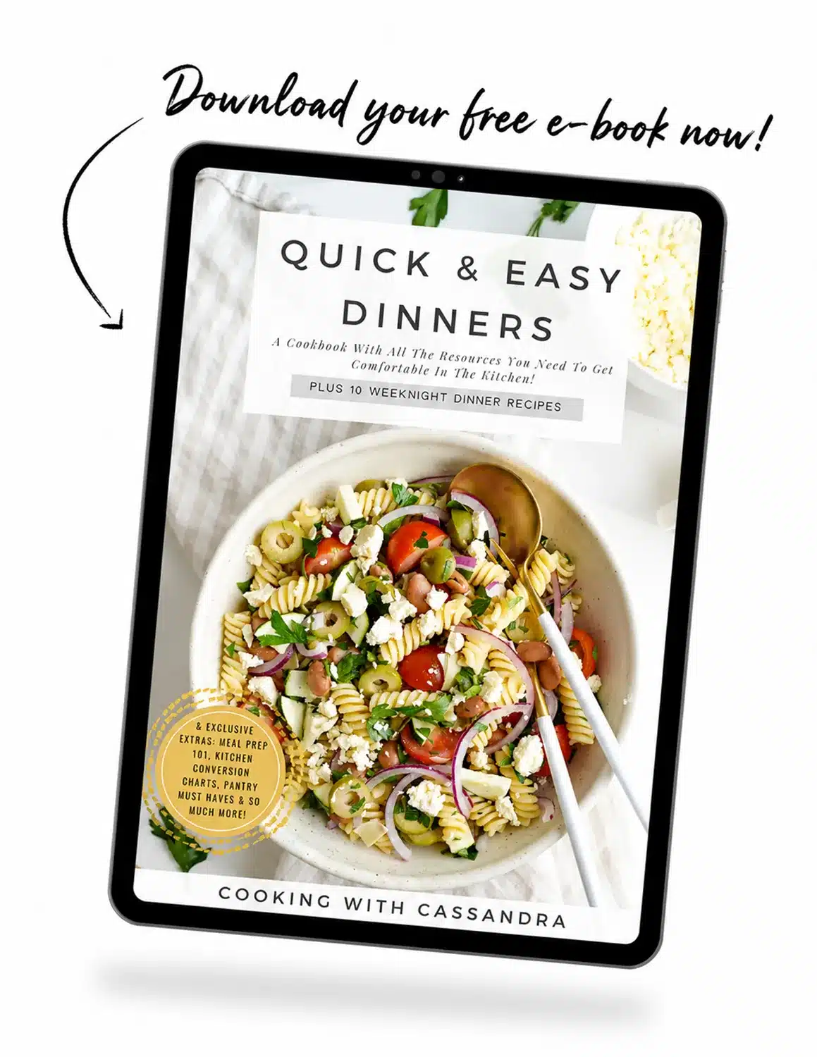 opt-in-ipad01 Free Ebook Mockup
