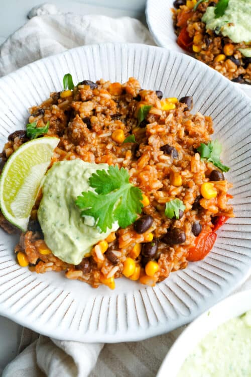Taco Rice Bowl